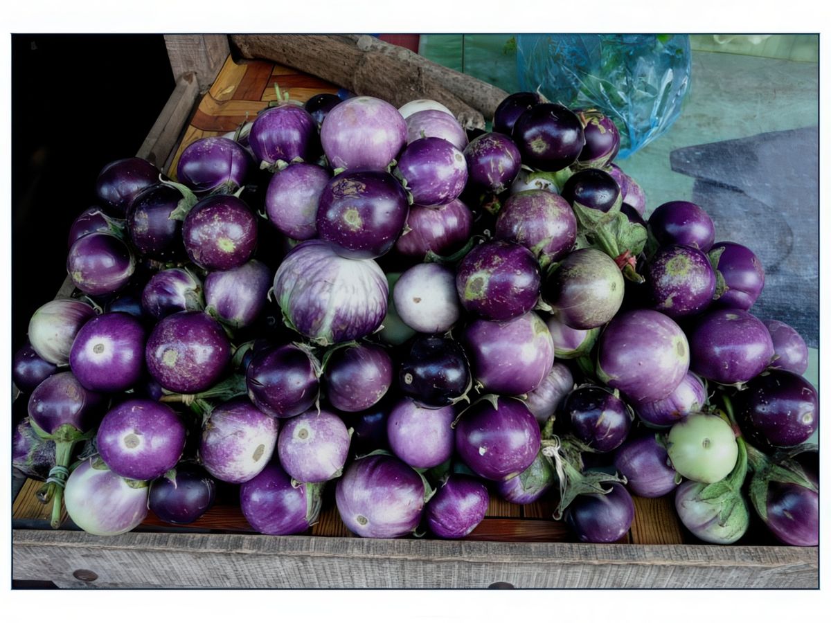 Petites aubergines rondes.