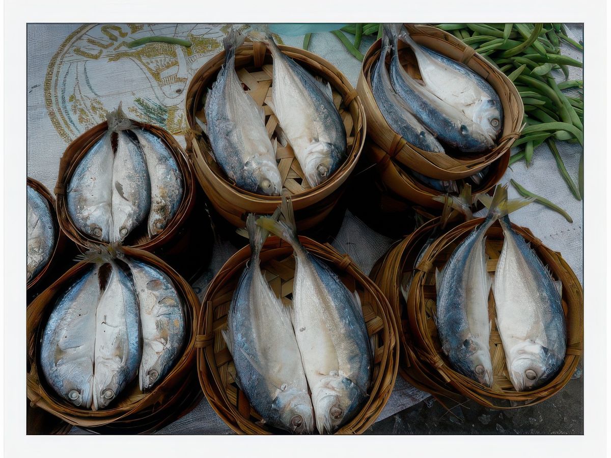 De jolis poissons bien présentés.