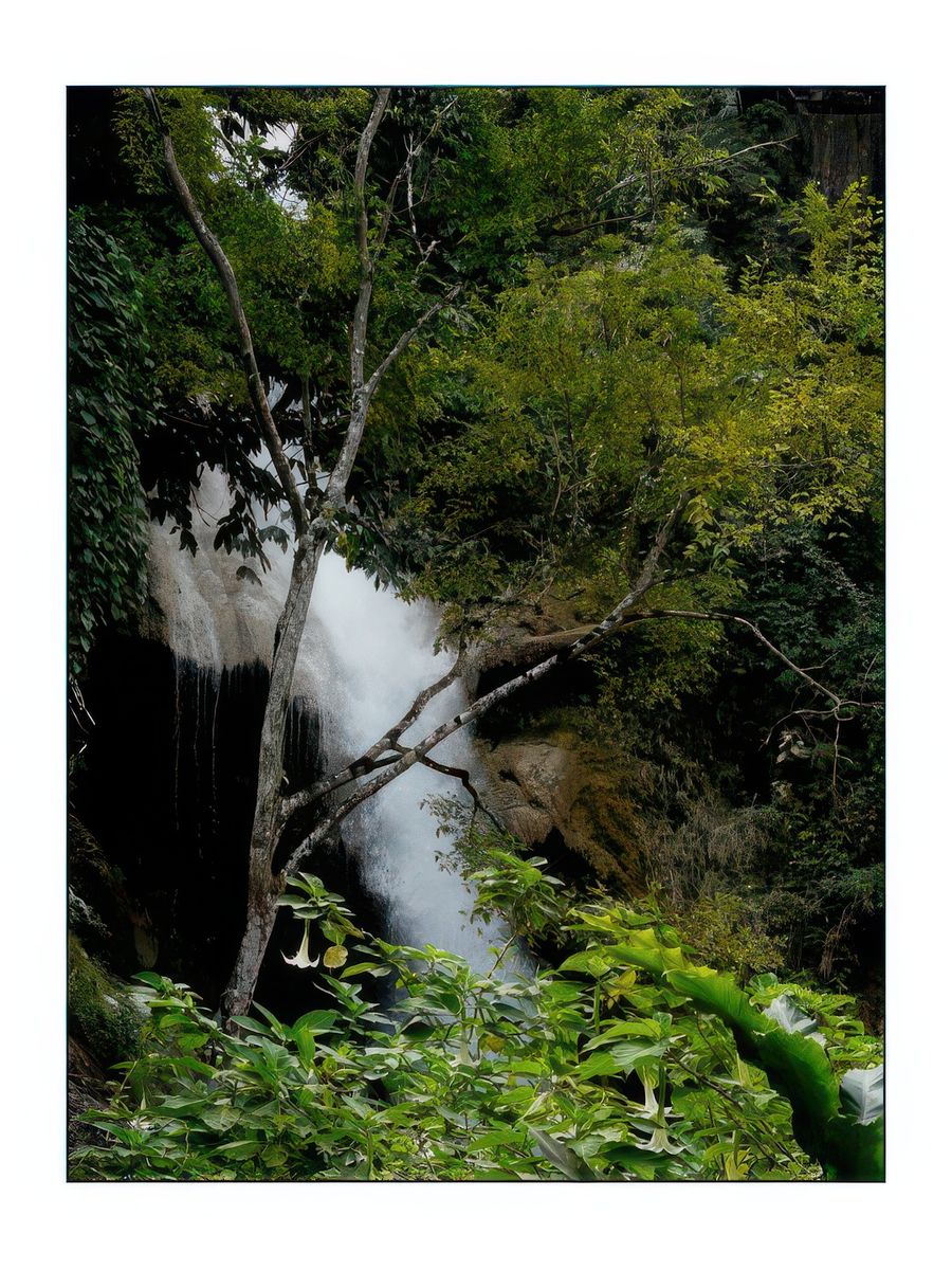 Une des chutes dans un écrin de verdure.