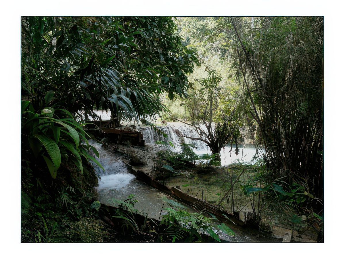 L'eau serpente à travers une forêt tropicale humide très agréable.