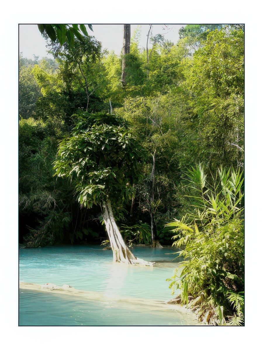 Si le paradis existe, je l'ai trouvé.
