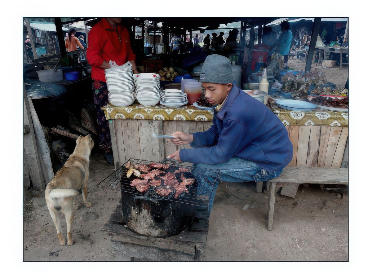 Un chien alléché par les odeurs de cuisson...