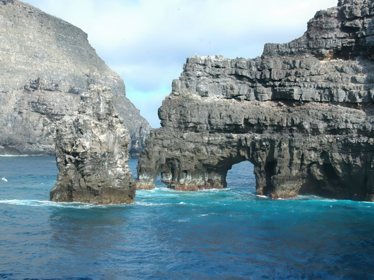 Les oiseaux et les animaux des Galapagos – Équateur