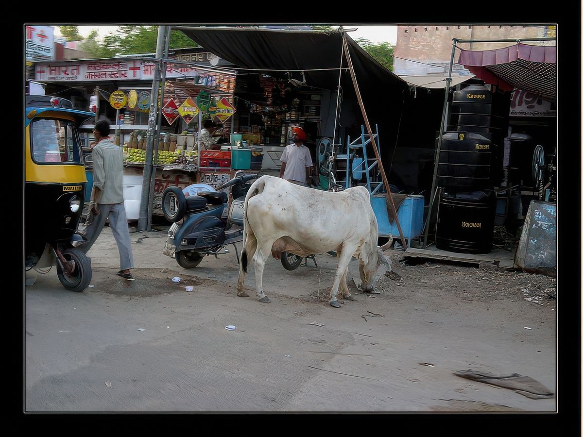 Scène de rue à Bikaner.