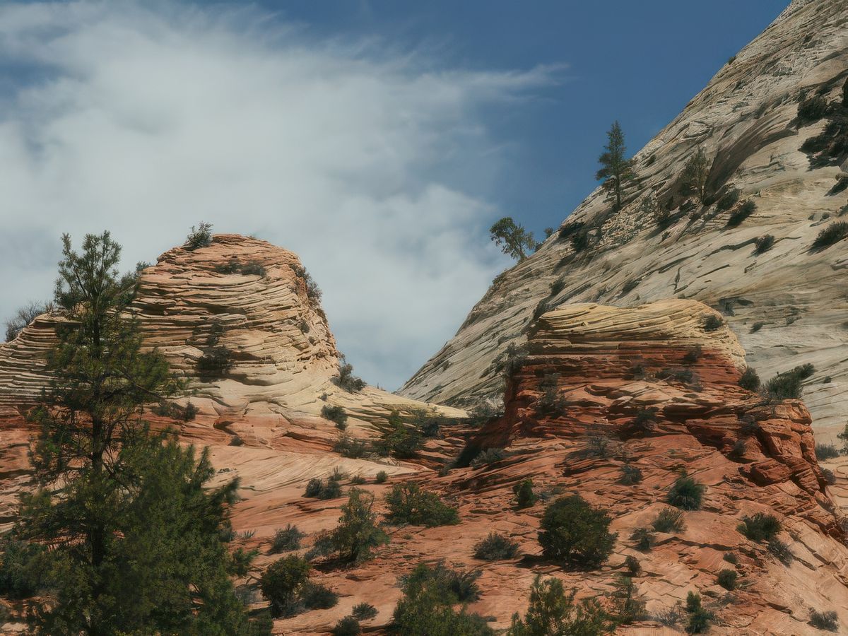 Parc de Zion – États-Unis