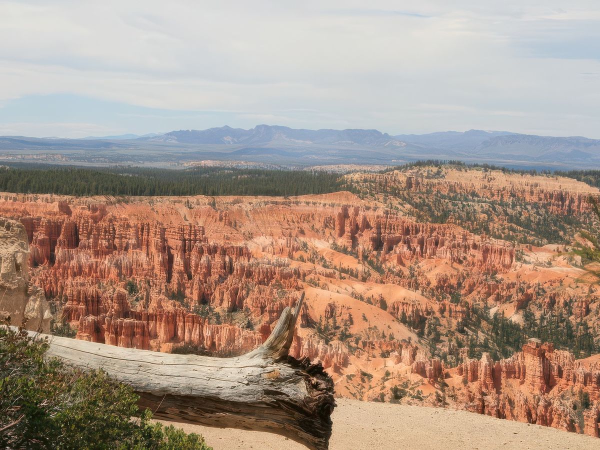 Bryce canyon – États-Unis