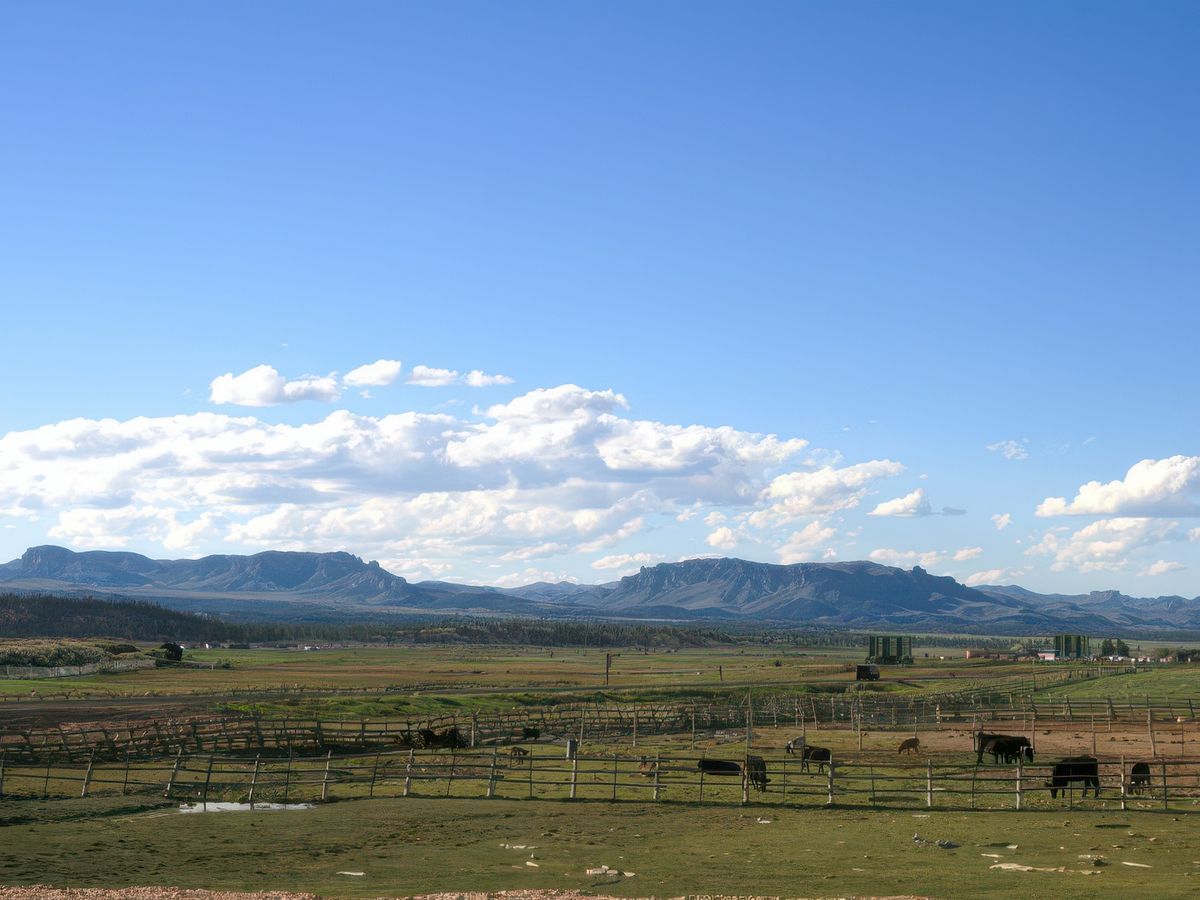 Bryce canyon – États-Unis