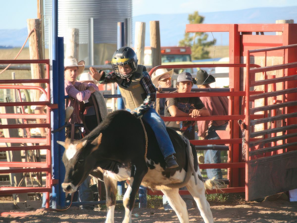 Ils commence au berceau les cow-boys, celui là a 8 ans , il a dejà une joli bête!