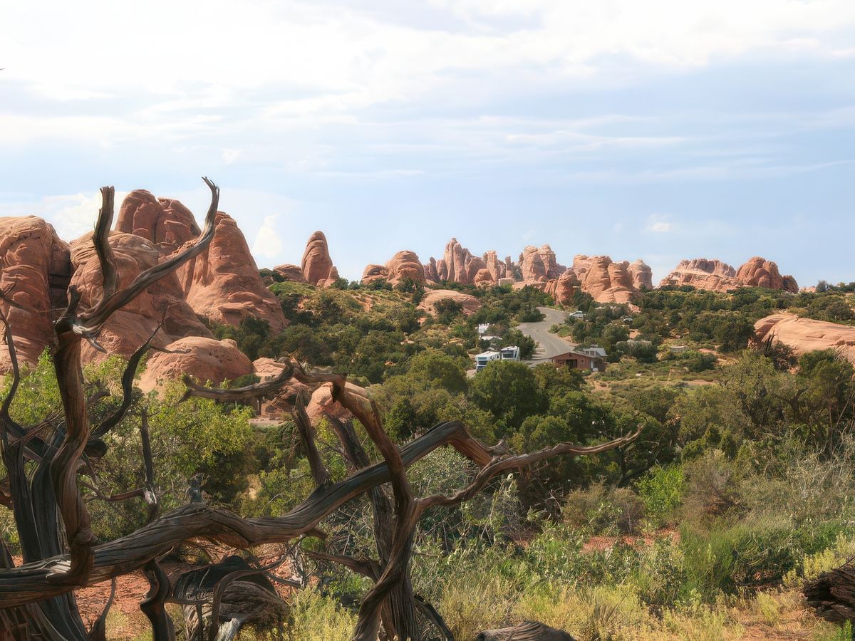 Capitol Reef et Arche National Parc – États-Unis
