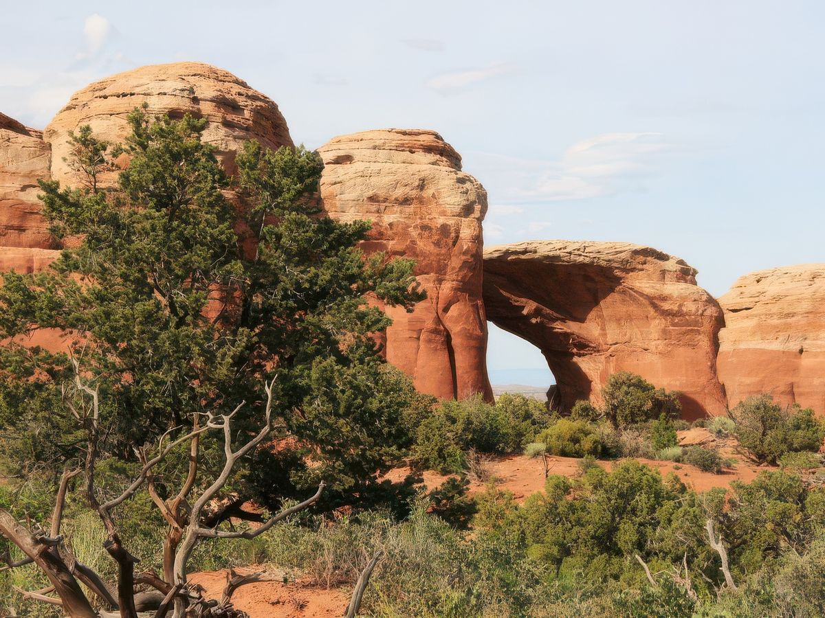 Capitol Reef et Arche National Parc – États-Unis