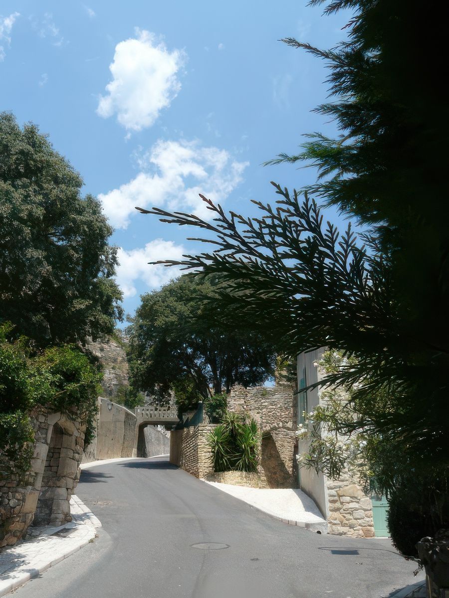 La rue qui monte à l'église Notre-Dame-du-Val-Romigier et au cimetière de Mornas, situés à mi-chemein entre le village et la forteresse.