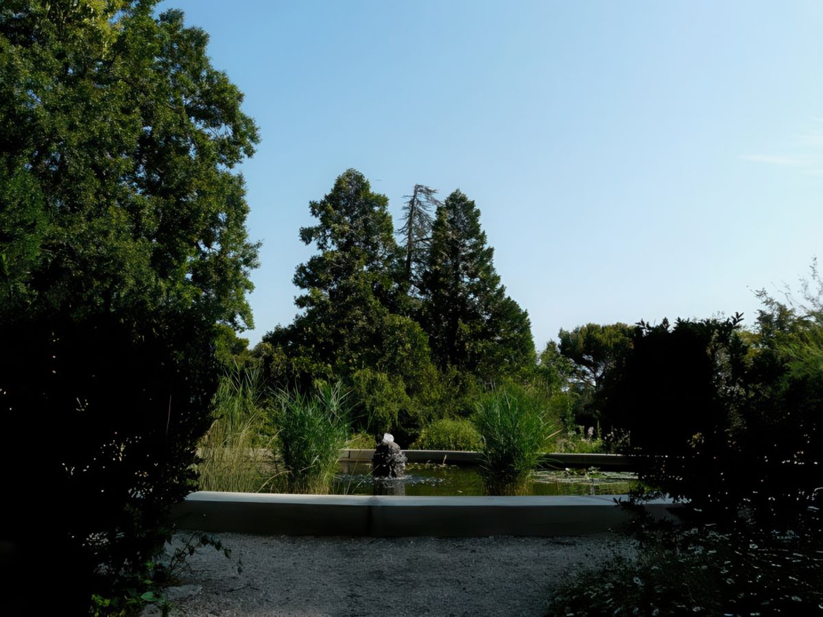 Le bassin.