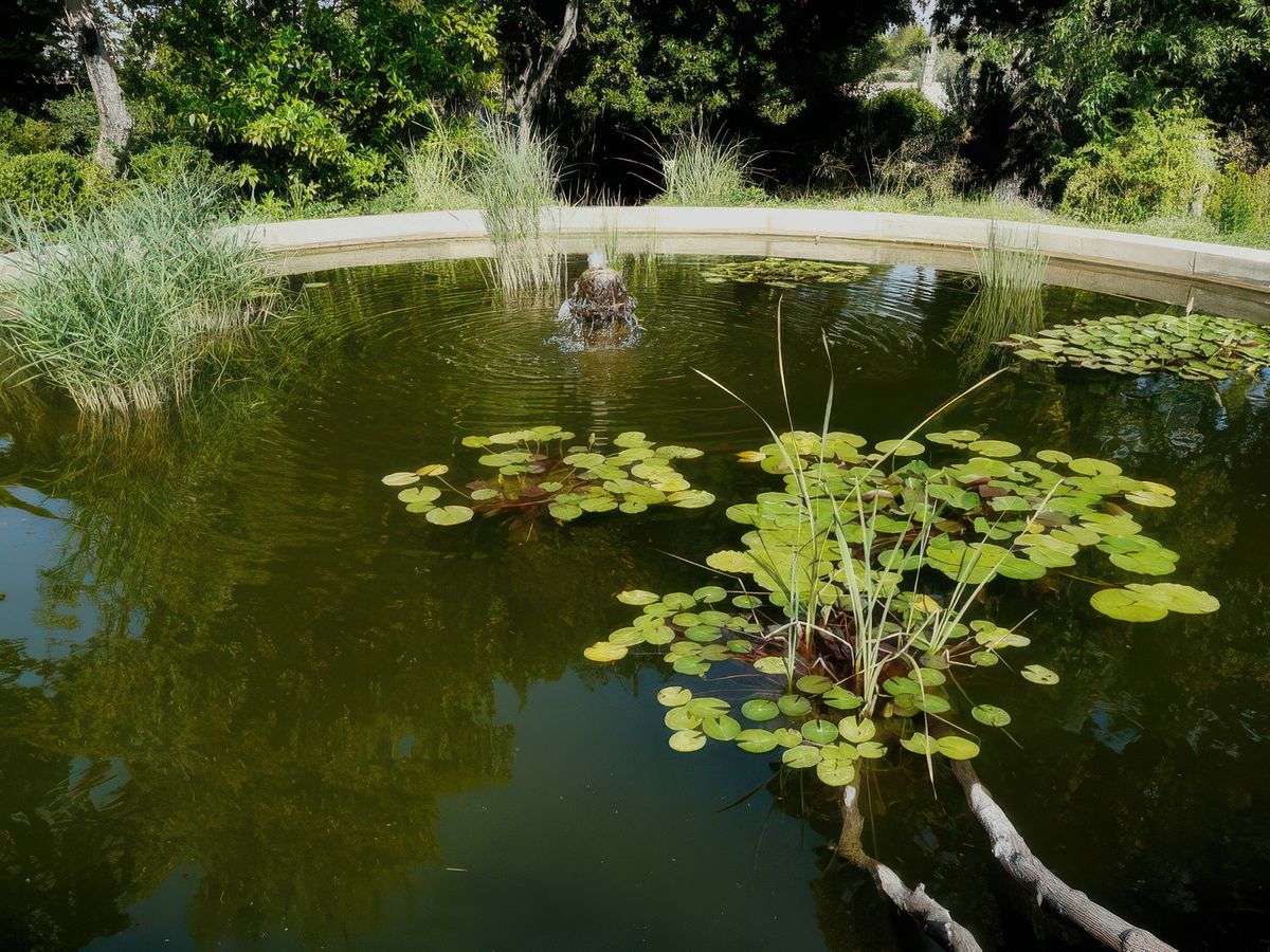 Le bassin.