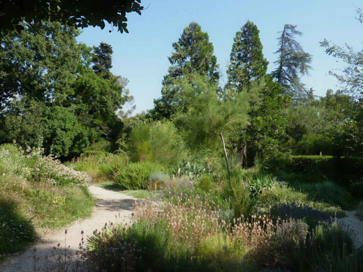 Le jardin abrite les espèces végétales et variétés d'arbustes et de plantes méditerranéennes plantées par Fabre et ses successeurs.