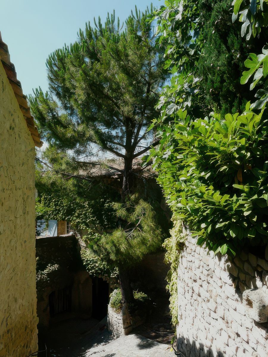 Les calades ombragées.