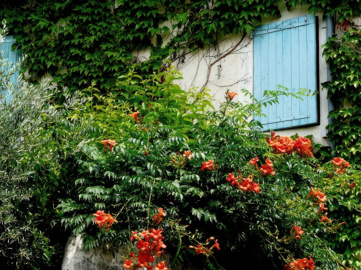 Le charme de la ville de Pernes-les-Fontaines.