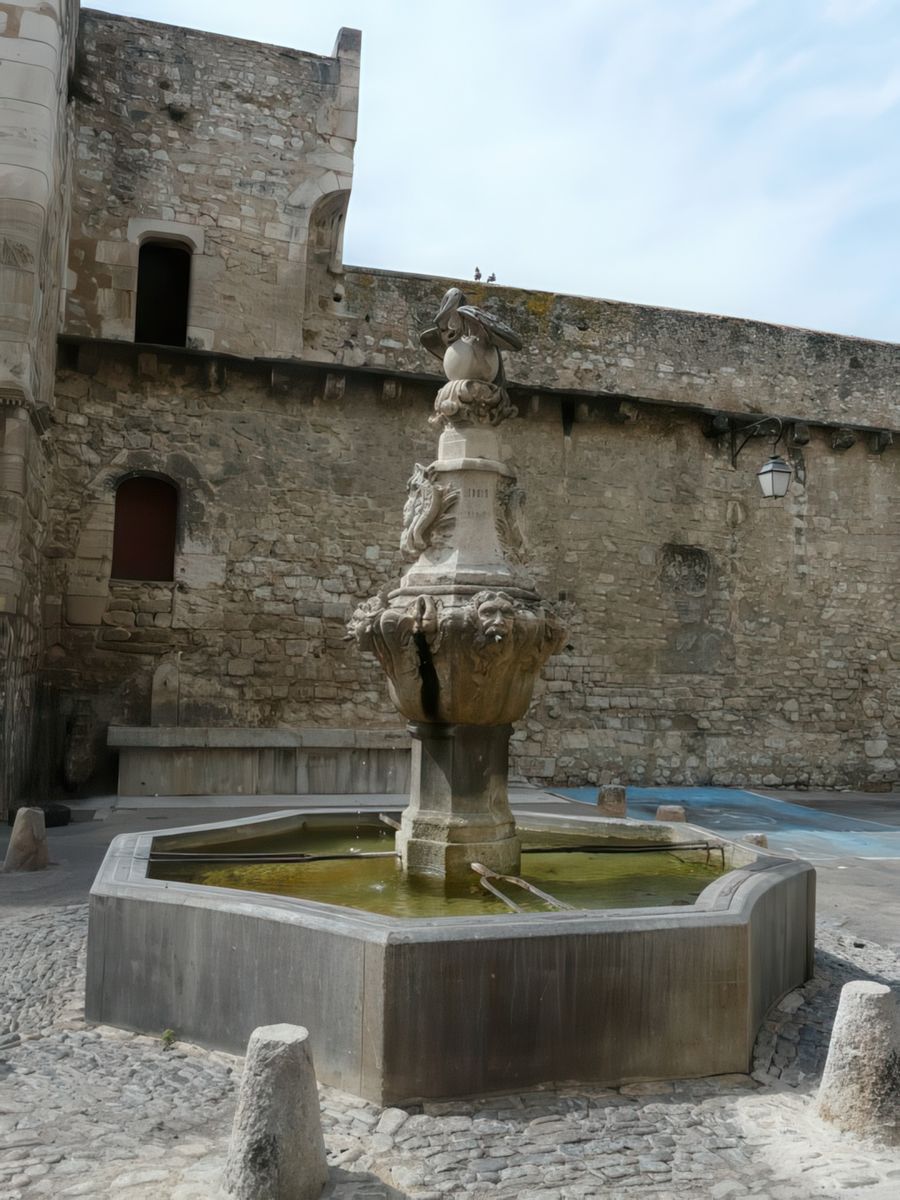 La Fontaine du Cormoran : Inaugurée en 1761, cette fontaine, classée Monument Historique, porte fièrement les armoiries de la ville. Le cormoran symbolise magnifiquement la ville entière, qui a toujours su protéger et nourrir ses enfants, en offrant aux passants le poisson qu’il tient dans son bec.
