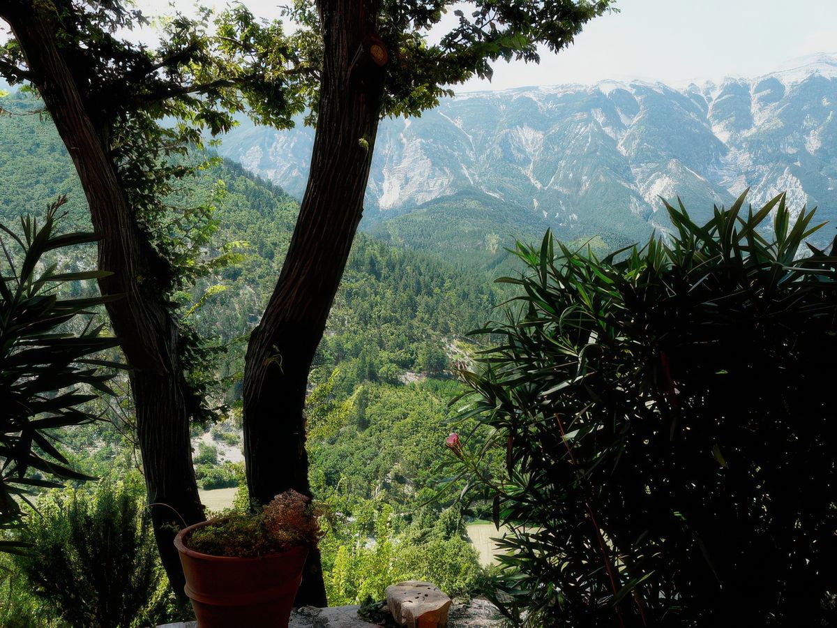La vue sur le Mont Ventoux depuis la table où nous déjeunons.