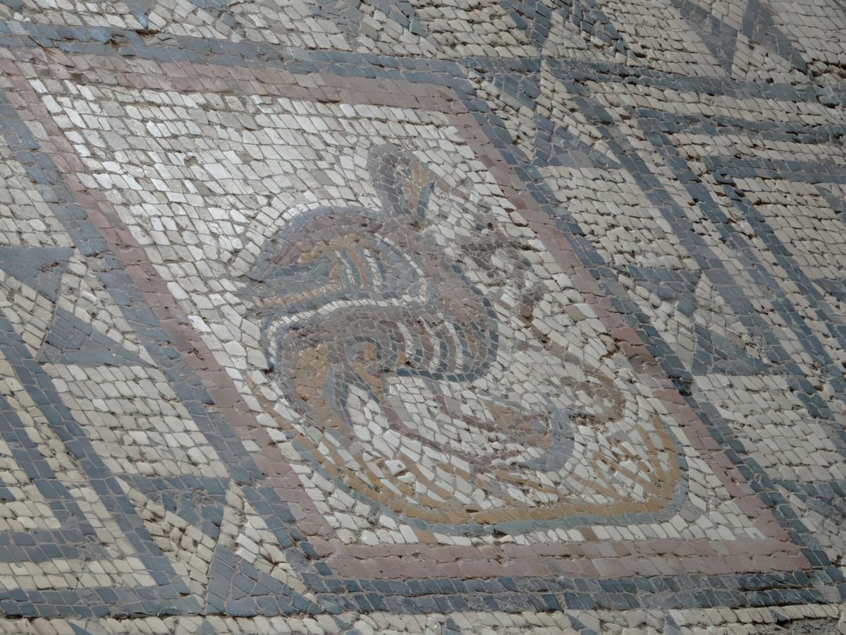 Mosaïques de la Maison aux Animaux Sauvages.
