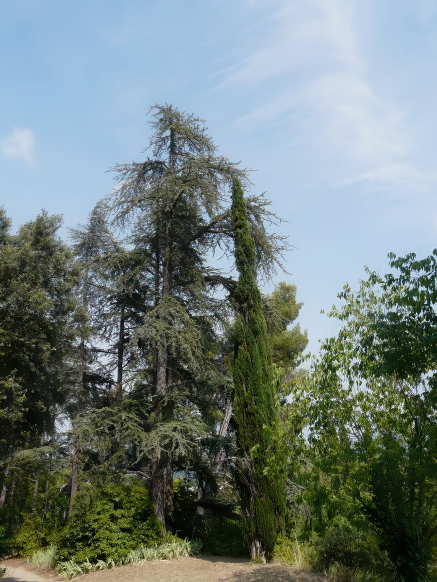 Près de la Maison à la Tonnelle.