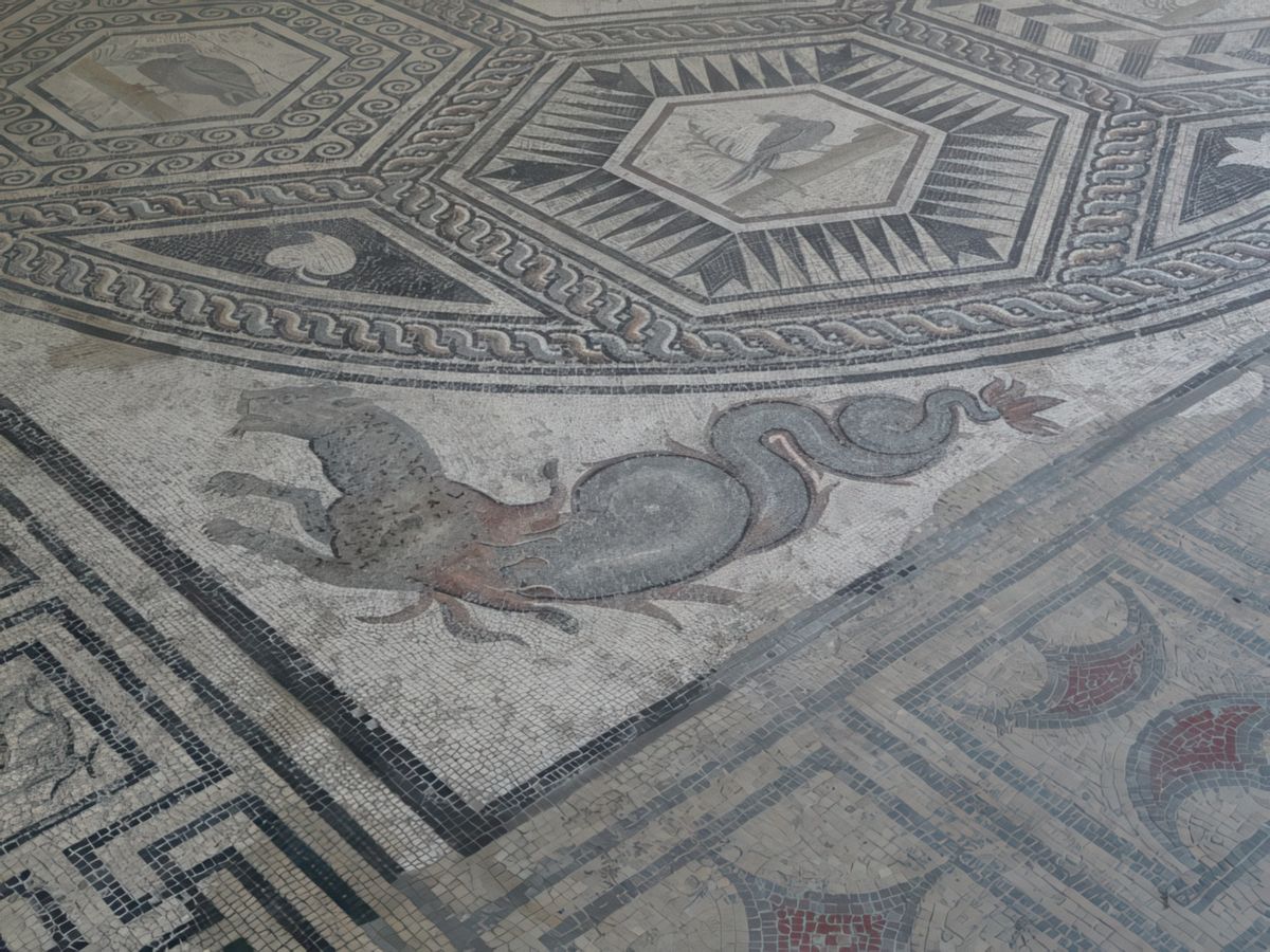Musée archéologique Théo-Desplans. Détail de la Mosaïque du Paon: le Dragon.