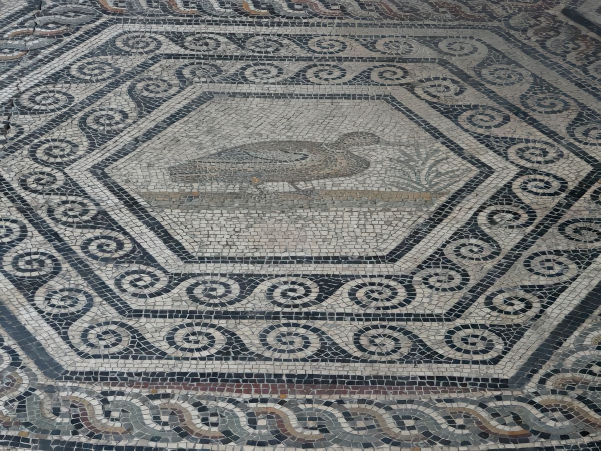 Musée archéologique Théo-Desplans. Détail de la Mosaïque du Paon: le canard.
