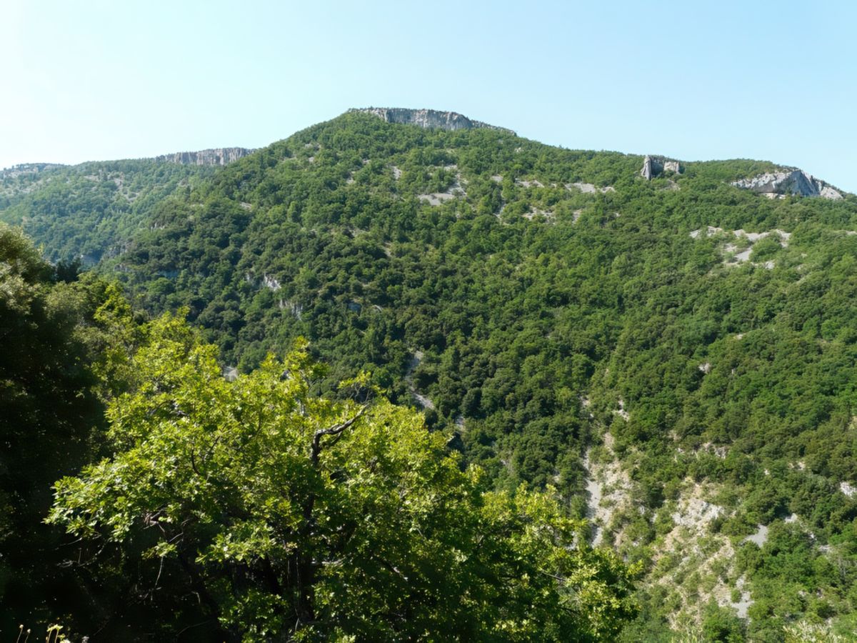 Difficile d'apercevoir la Nesque, petite rivière dissimulée sous une épaisse végétation.