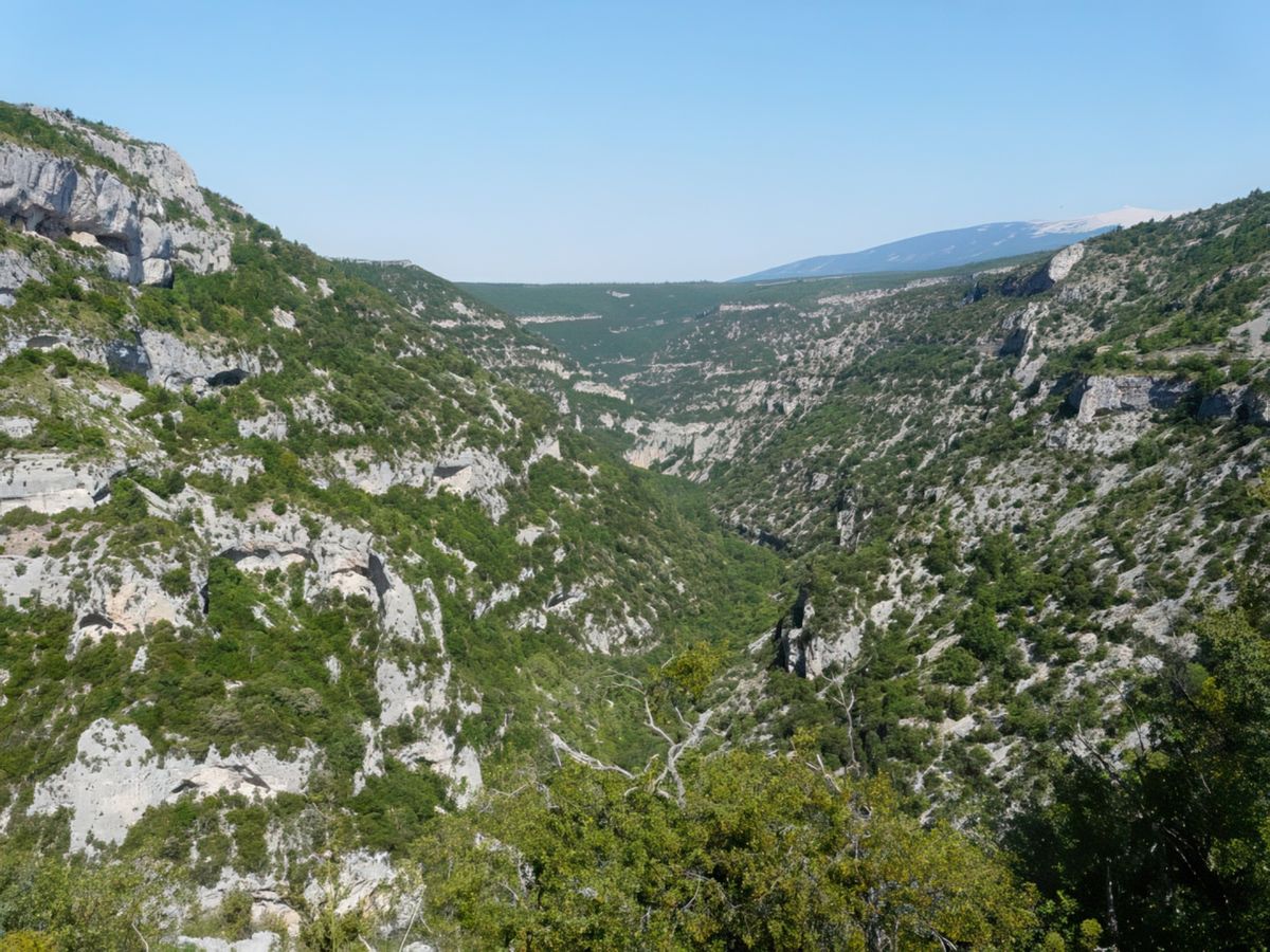 Les gorges de la Nesque et le Mont Ventoux sur la gauche.