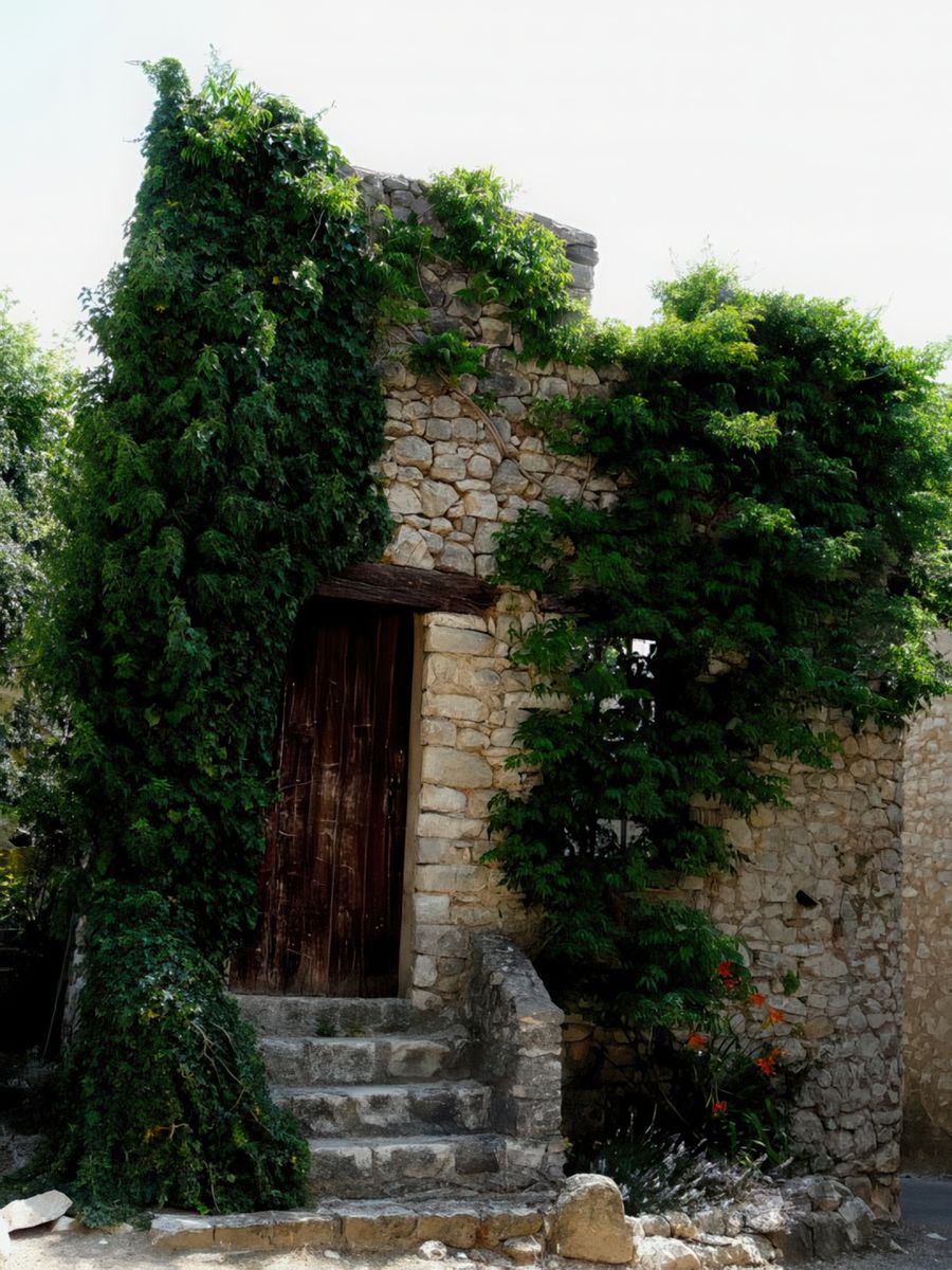 Quand la nature reprend ses droits sur une jolie ruine!