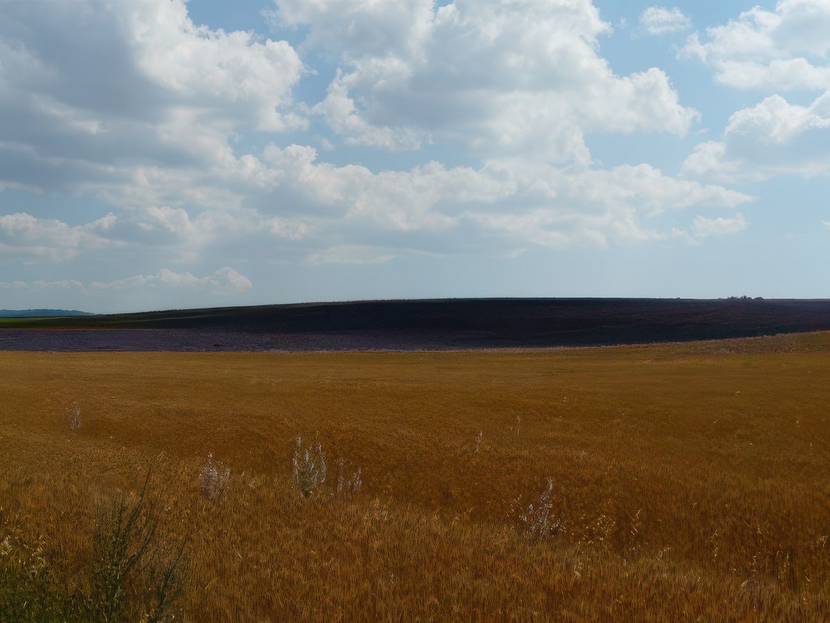Or et mauve sur la route qui mène à Saint Cristol d'Albion.
