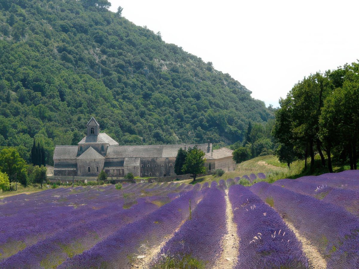 L'abbaye Notre-Dame de Sénanque est, avec les abbayes de Silvacane et de Thoronet, l'une des "trois sœurs cisterciennes de Provence", elles mêmes "petites-filles" de l'abbaye de Cîteaux.