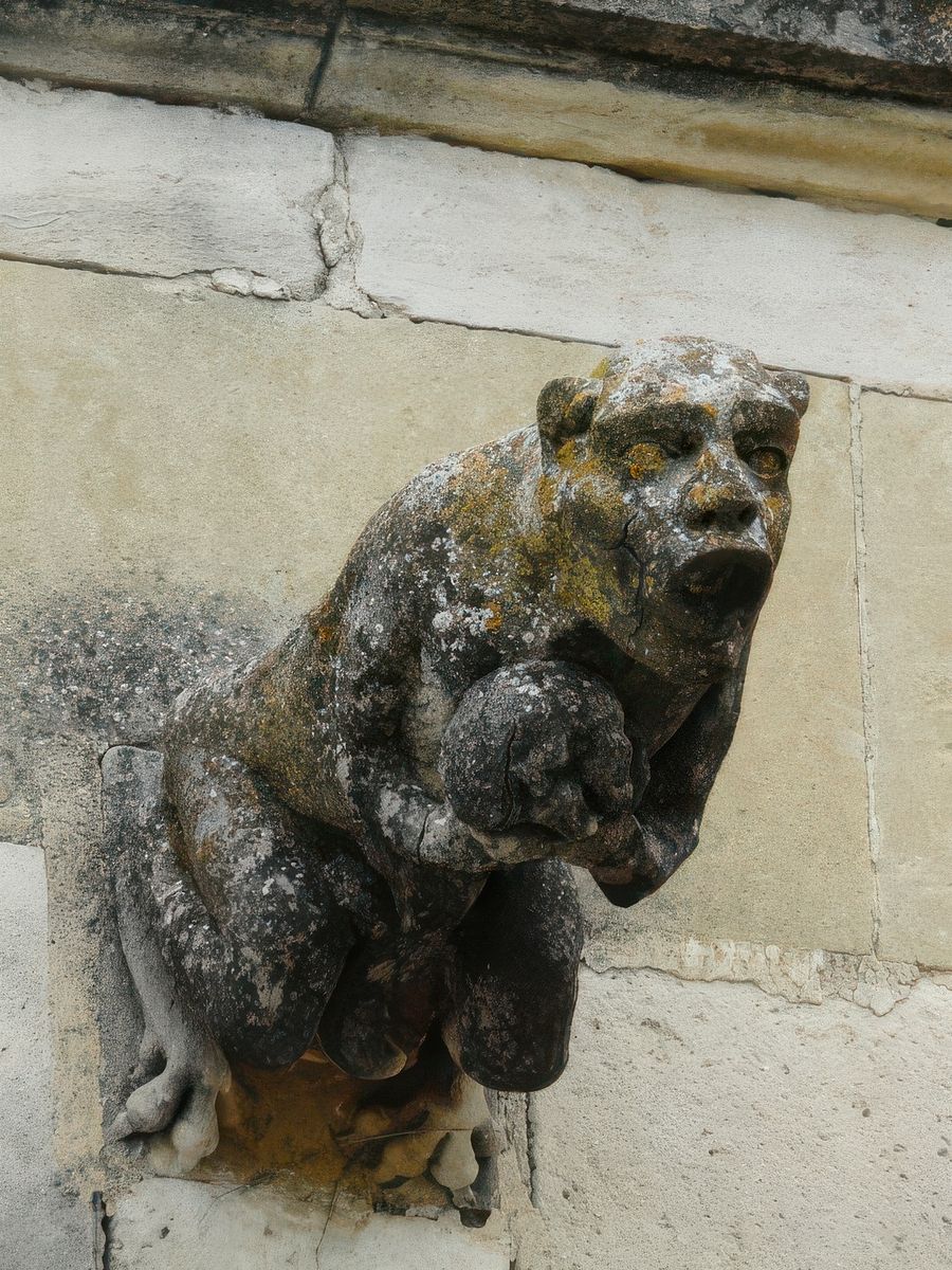 Gargouille.