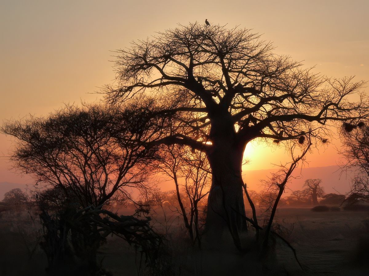 Coucher de soleil.
