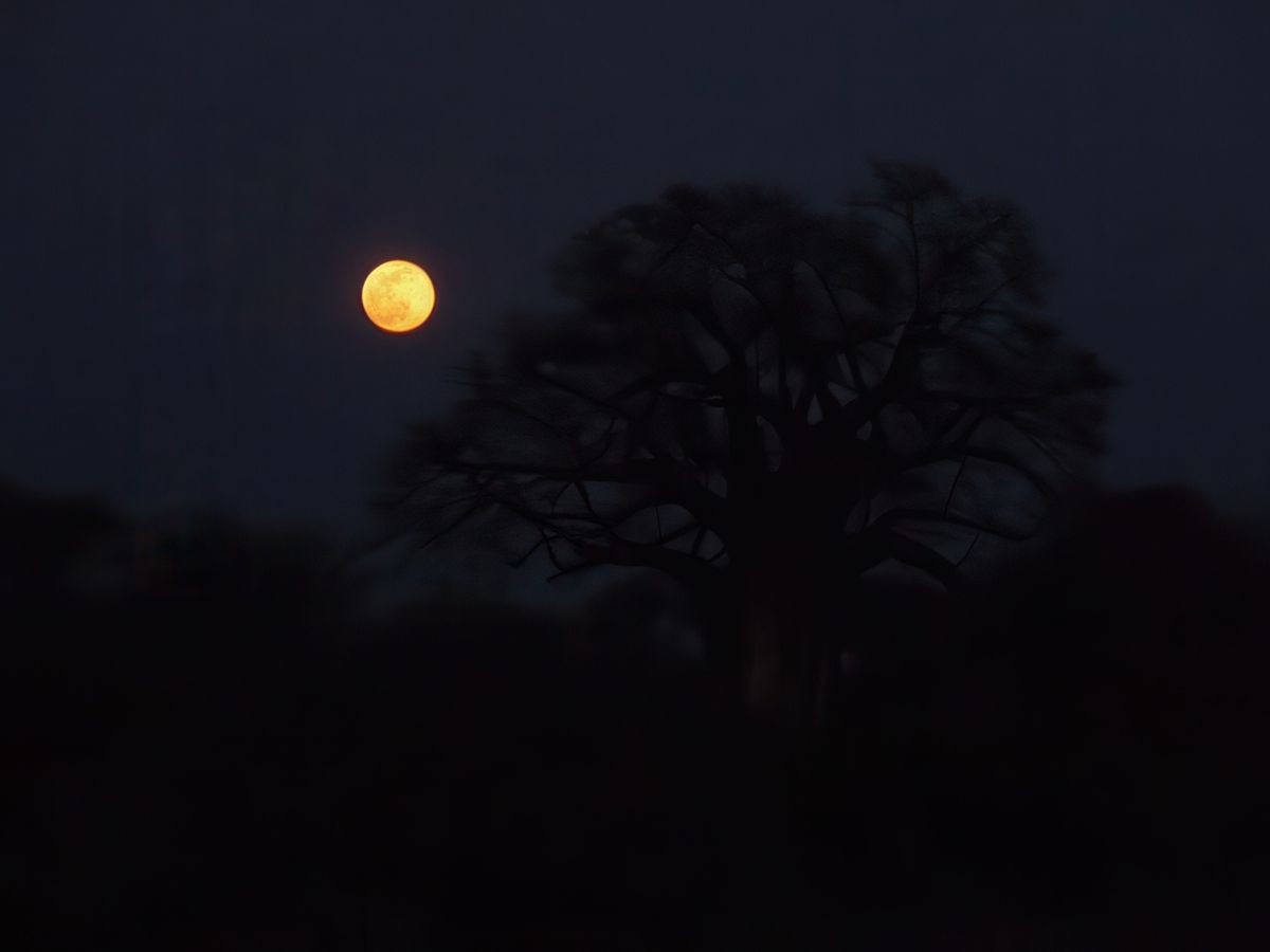 La nuit est tombée, nous sommes sortis du parc juste à temps.