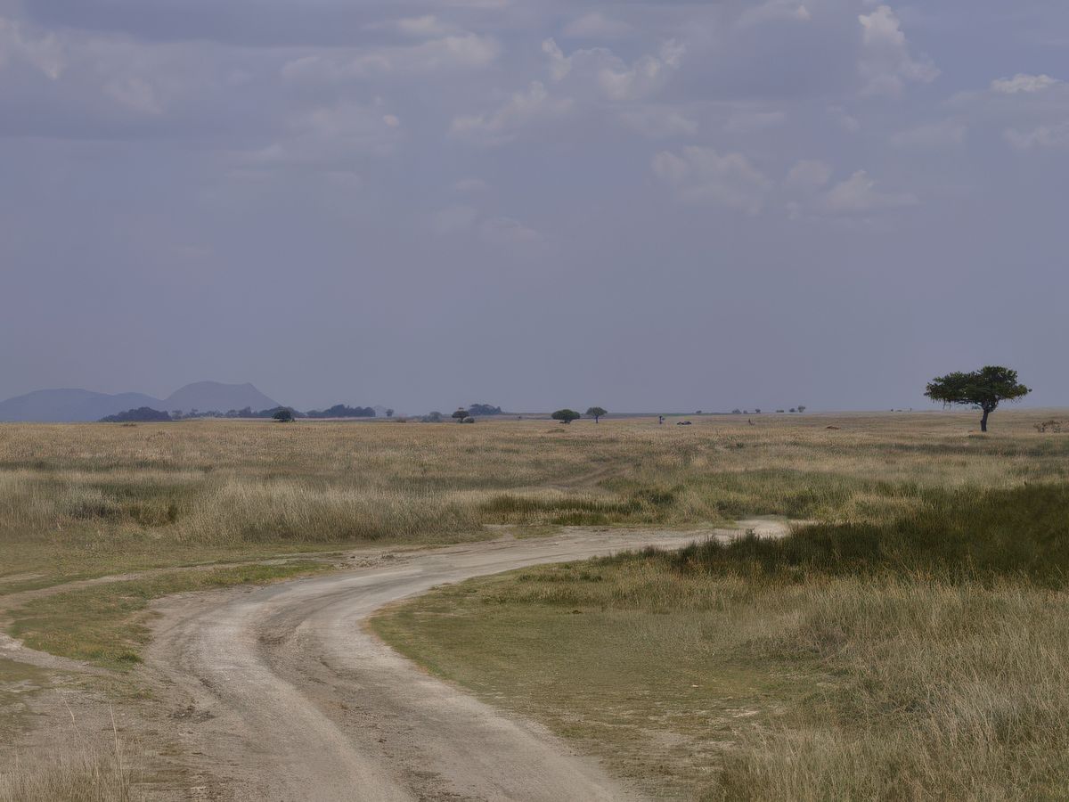 Quand on parle des vastes plaines du Serengeti ...