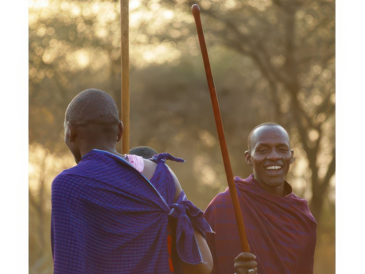 Safari animalier en privatif, tente, lodge et hôtel – Tanzanie