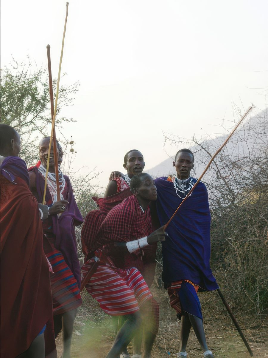 Safari animalier en privatif, tente, lodge et hôtel – Tanzanie