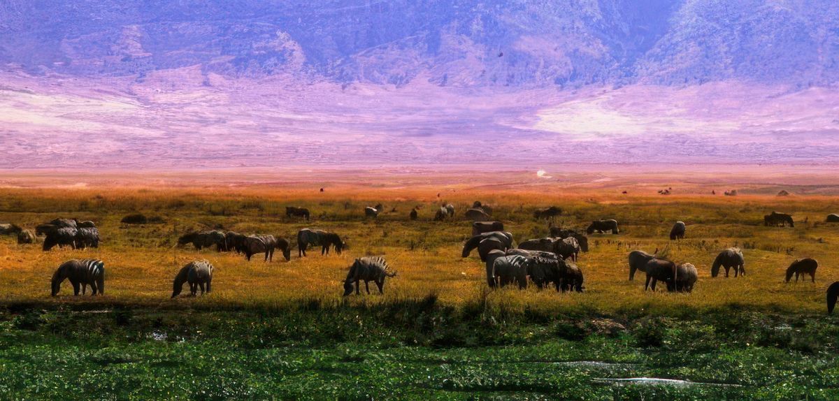 Photo de voyage en Tanzanie
