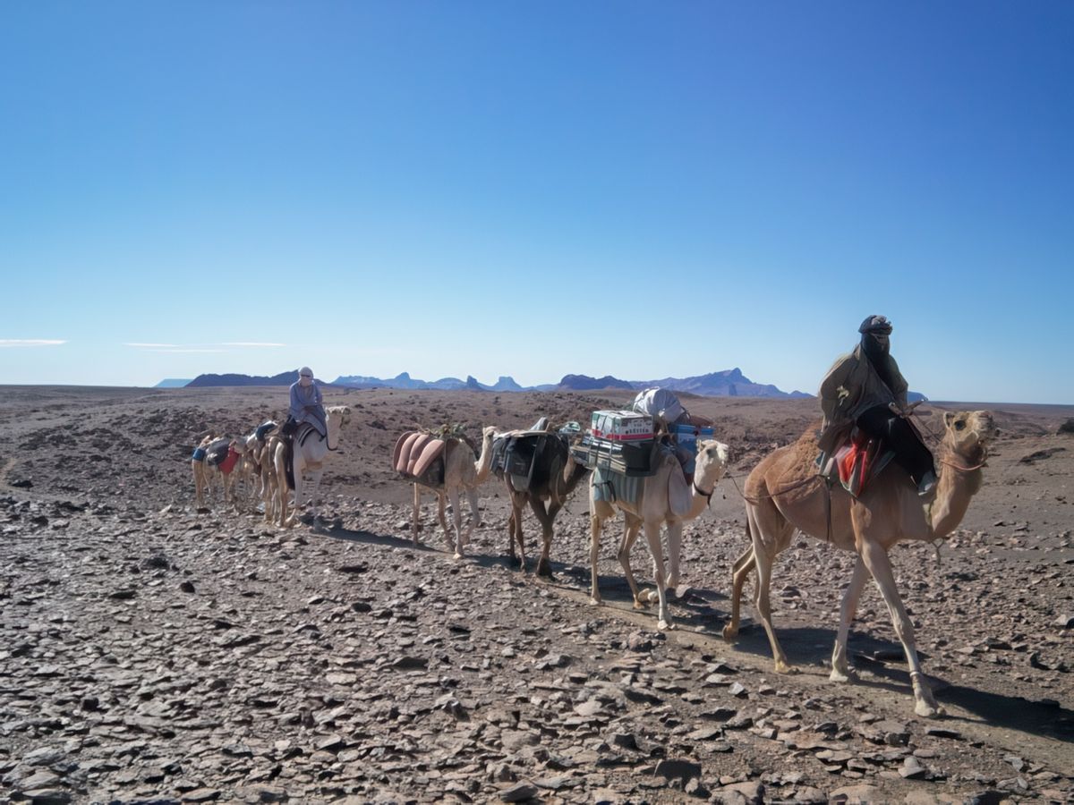 La caravane