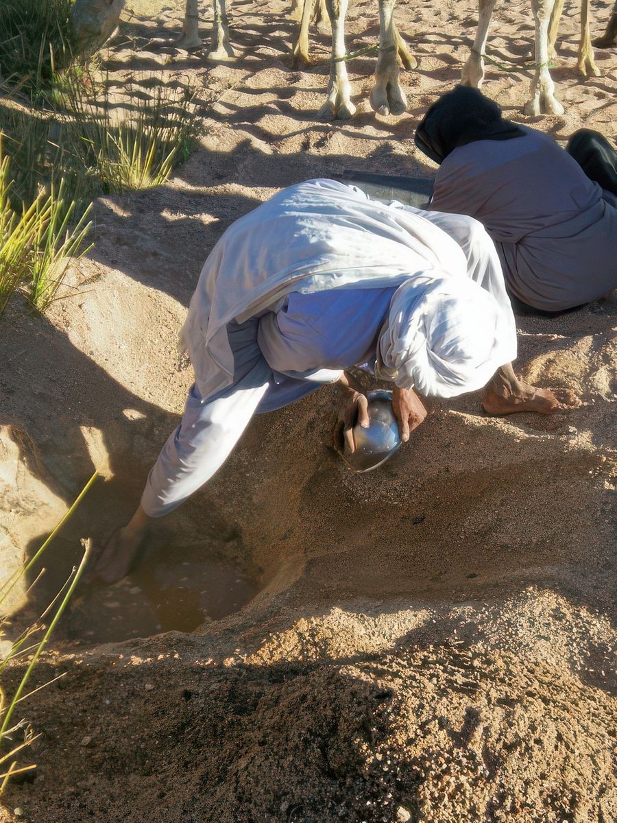 à la recherche d'eau