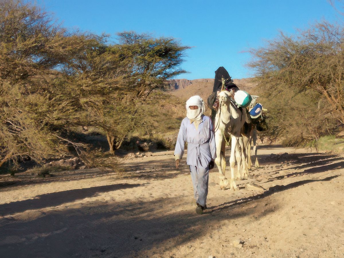 Arrivée au lieu de campement