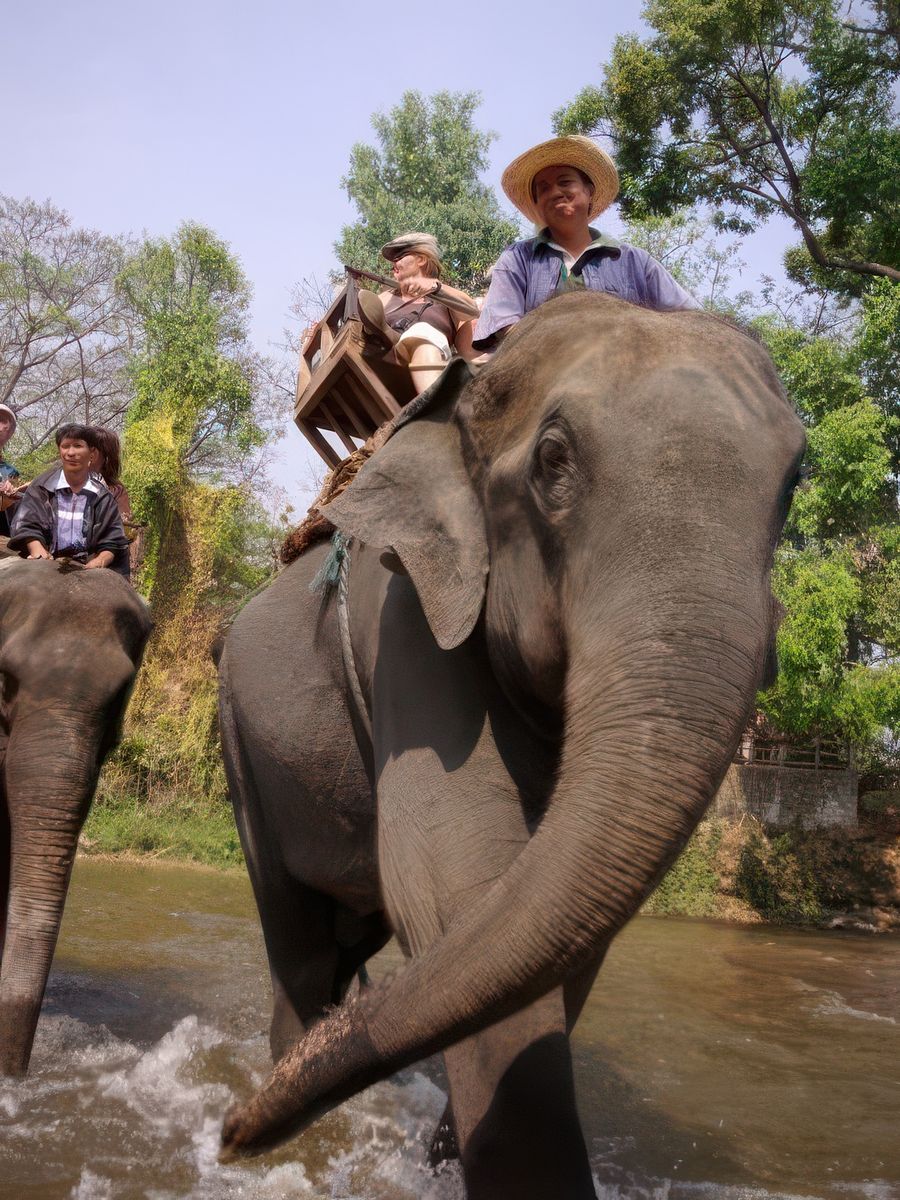 Photos complémentaires – Thaïlande
