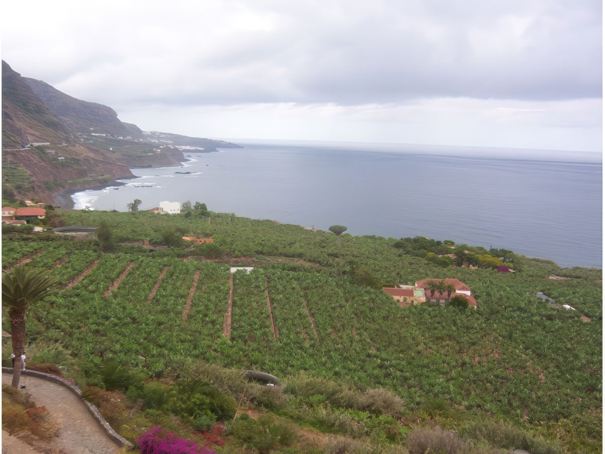 Côte de Puerto de la Cruz au phare de Teno – Espagne