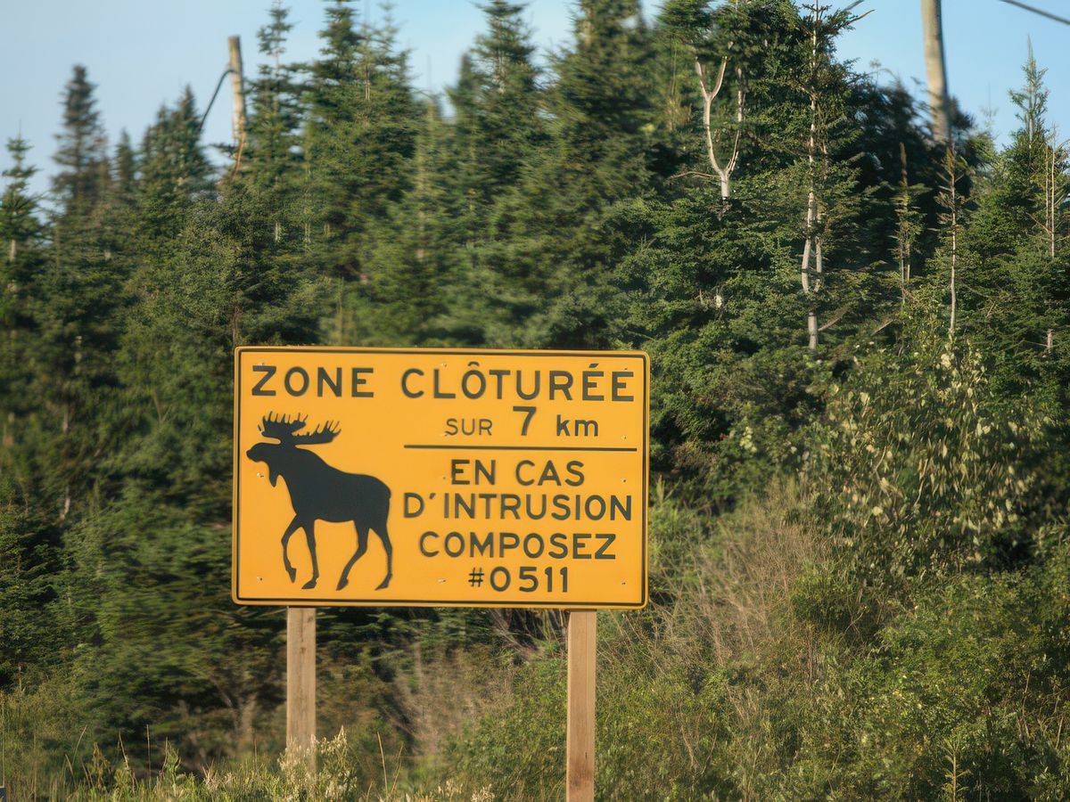 Photos complémentaires – Canada