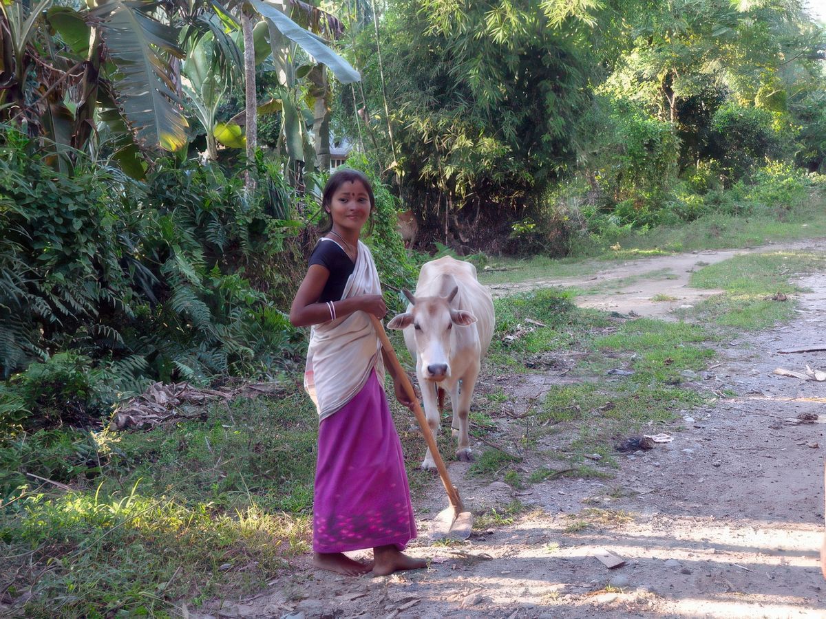 Arrivée dans l'Assam – Inde