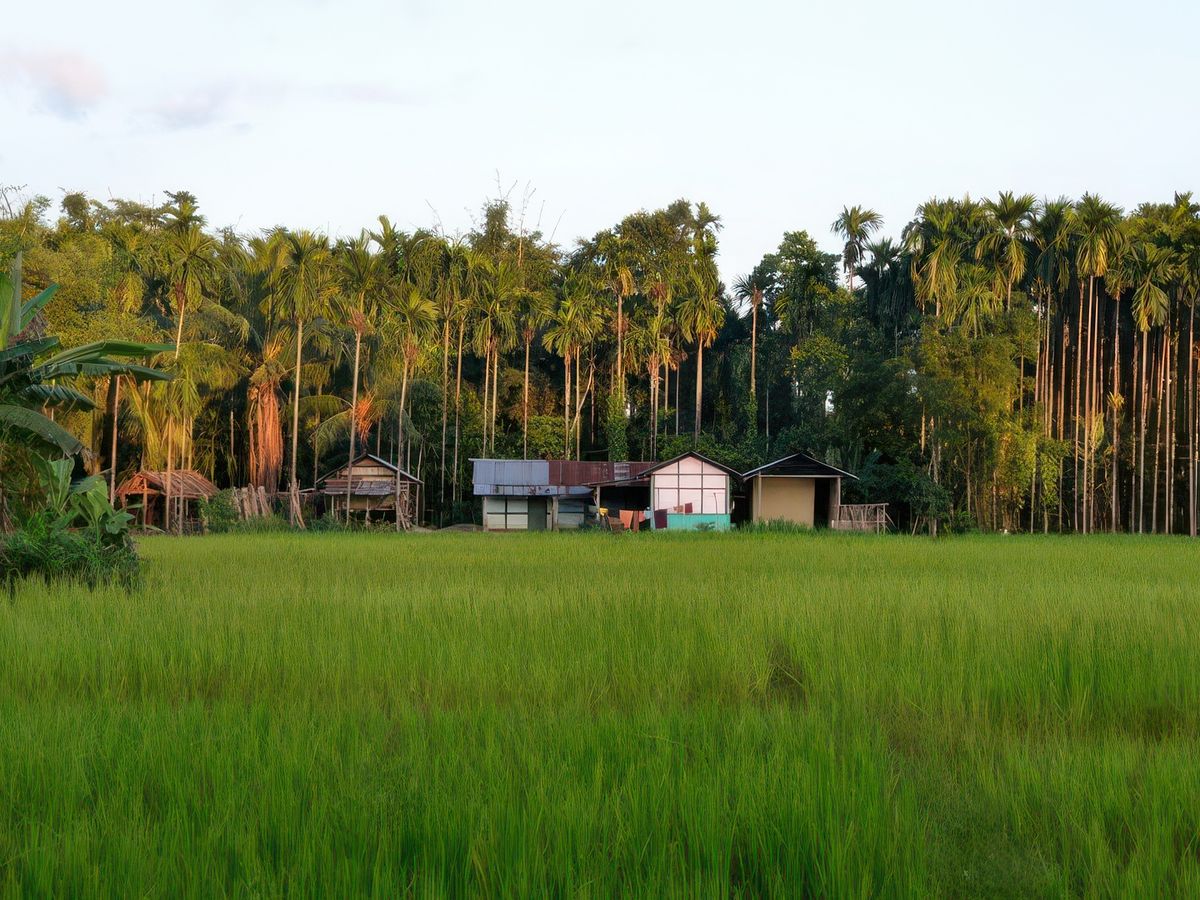 Arrivée dans l'Assam – Inde