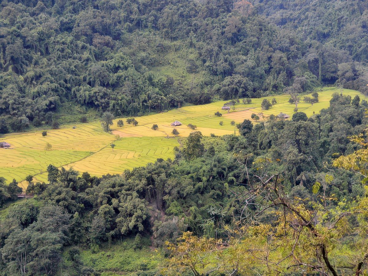 Sur les routes de l'Arunachal – Inde