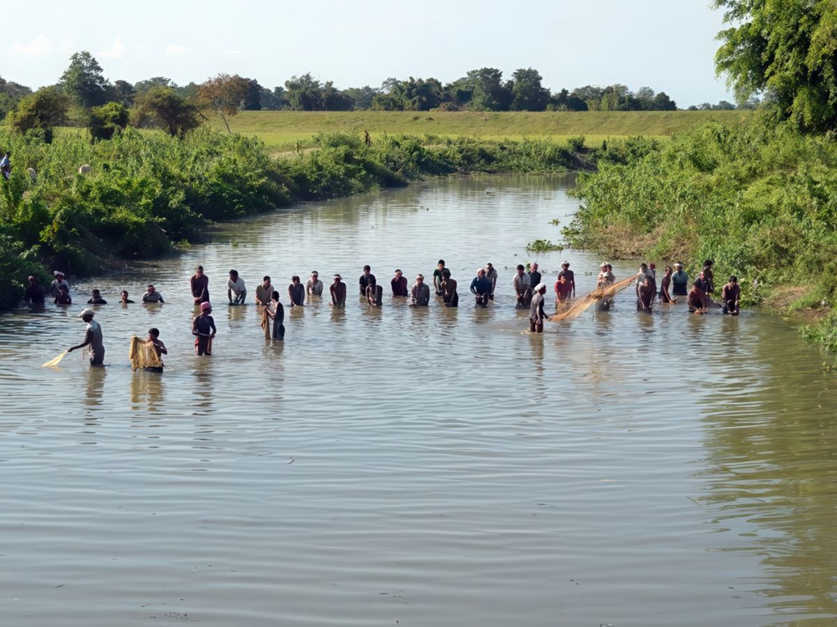 Retour dans l'Assam – Inde