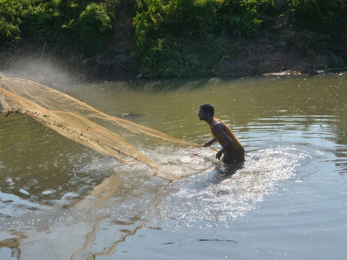 Retour dans l'Assam – Inde