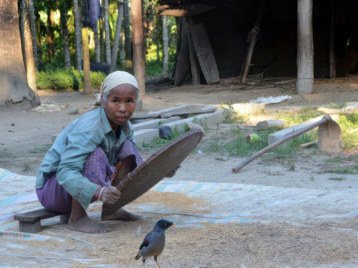 Retour dans l'Assam – Inde